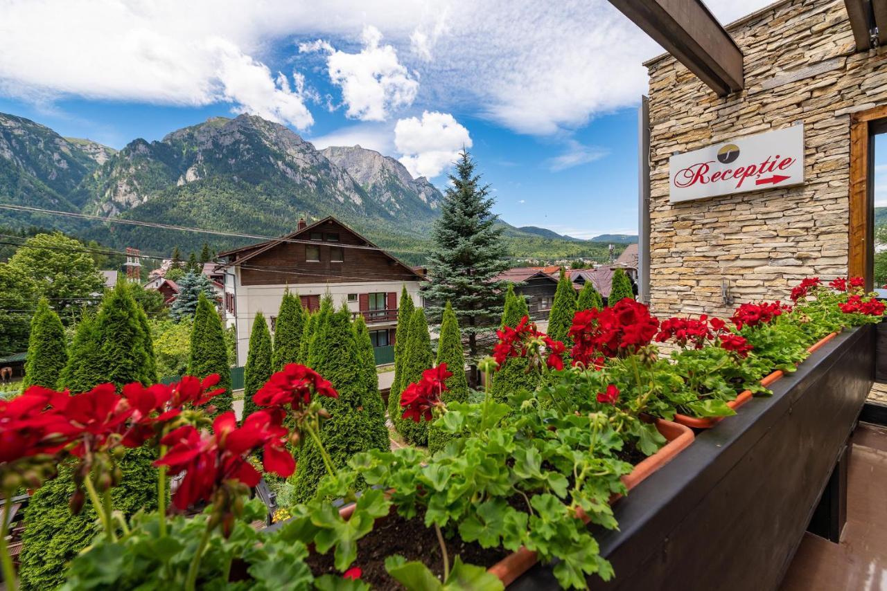 卡萨芙蕾雅酒店 Buşteni 外观 照片